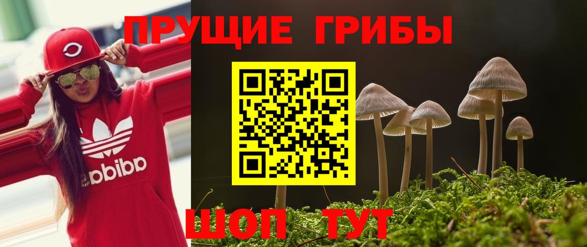 Астрахань  Галлюциногенные грибы мухоморы  Вход с VPN 